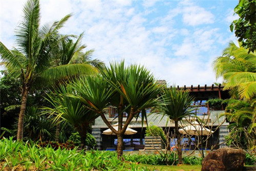 风铃屋精致寿司