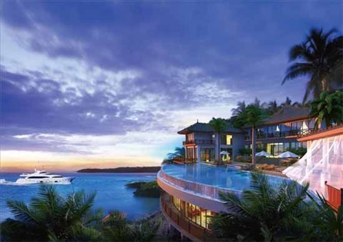 有芝青年芝士焗饭