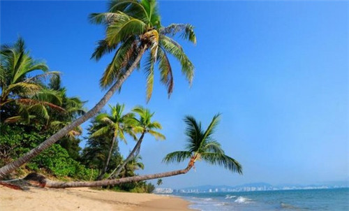 光头佬品牌港式点心